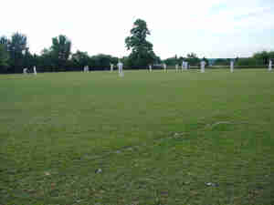 Cricket in Victoria Rec